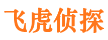 沁阳私家调查公司